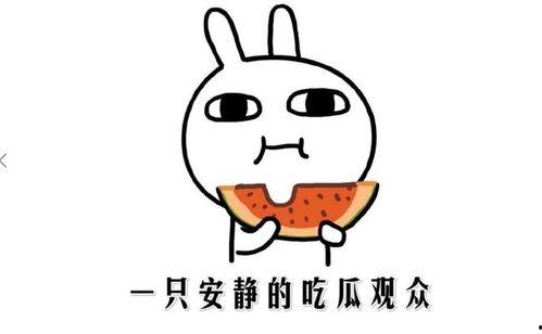 吃瓜最近抖音,揭秘网红美食背后的故事”