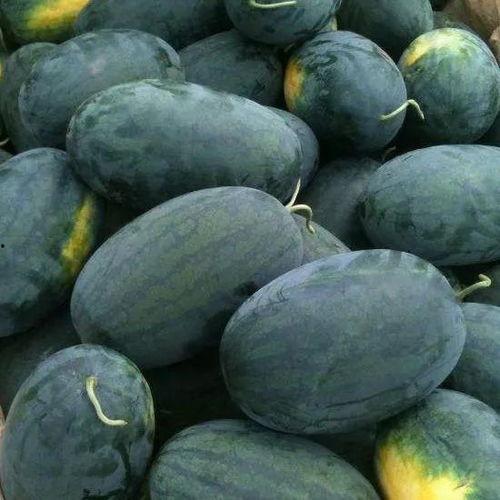 看瓜比吃瓜还甜,看瓜比吃瓜还甜的奇妙体验