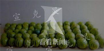 深夜吃瓜的好处,揭秘生活百态的奇妙之旅