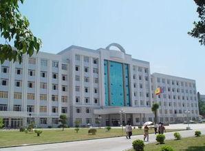 濉溪中学吃瓜,揭秘校园里的“瓜田”风云