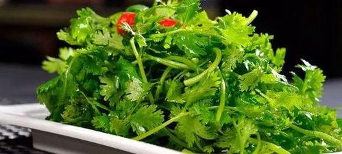 香菜很会吃的瓜