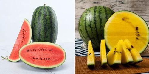 路中吃瓜,见证人间百态