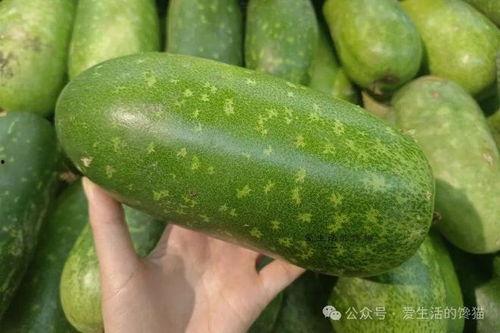 春天有什么瓜可以吃,春季时令瓜果大盘点