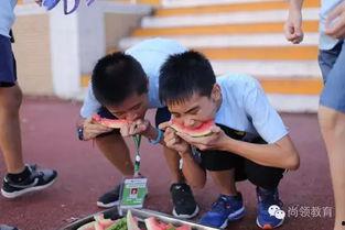 吃瓜大嘴巴,吃瓜大嘴巴带你领略明星幕后故事