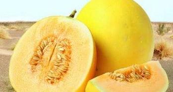 依丽莎白瓜怎么吃才好吃,解锁最佳口感秘诀