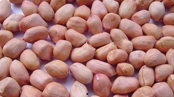 cr吃大瓜,揭秘娱乐圈幕后故事