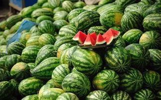 吃瓜会会长,瓜界风云人物背后的故事