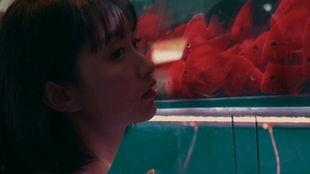 怀钦吃瓜少女,揭秘少女生活点滴