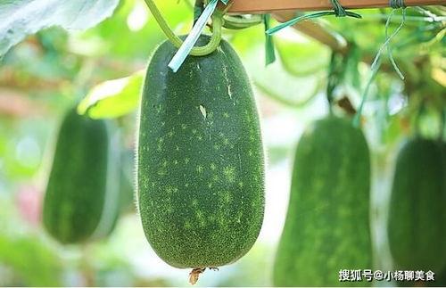 吃瓜找物,吃瓜群众也能轻松找到心仪好物的秘诀指南