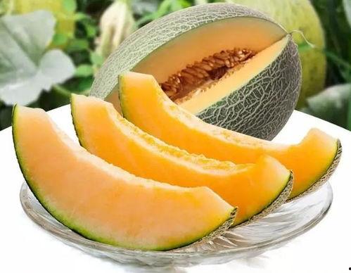 瓜州吃瓜就是甜,吃瓜不止甜，瓜州美食之旅