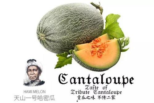 山东吃瓜号,揭秘山东美食背后的故事与传说