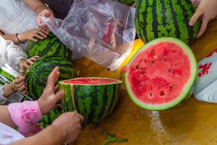 云南大学吃瓜视频,吃瓜视频里的美味诱惑