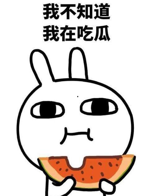 吃瓜微信聊天,一场微信聊天背后的娱乐风暴