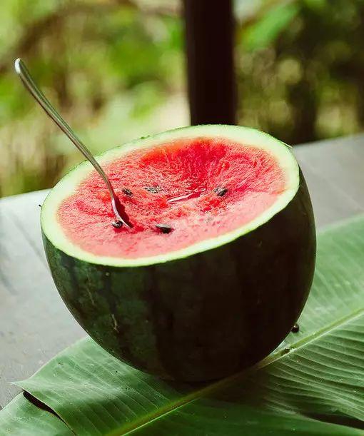 夏天田园吃瓜,夏天田园的甜蜜时光