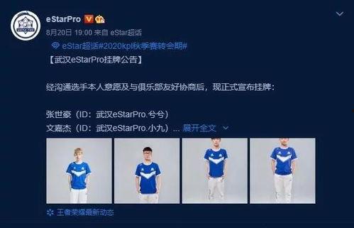 王者荣耀cat吃瓜,Cat吃瓜，揭秘游戏圈幕后风云