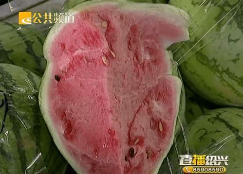 绍兴吃瓜趣事,一场别开生面的吃瓜盛宴