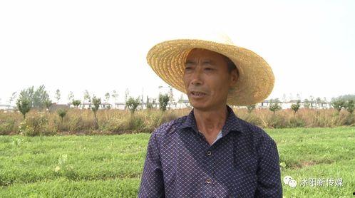 沭阳吃大瓜,大瓜盛宴，尽享田园风情