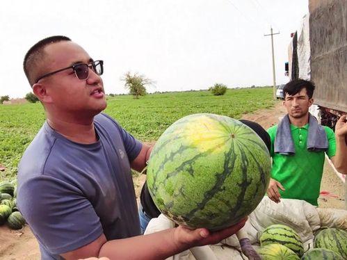 假装吃瓜吓人图片