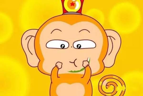 猴王吃瓜素材高清,高清瓜果盛宴来袭！