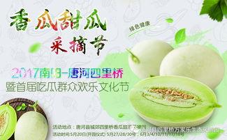 吃瓜网红合集,网红吃瓜合集大揭秘